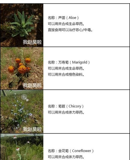 《以食之契约魔法料理大全》——探秘所有魔法菜品材料（一览无遗）