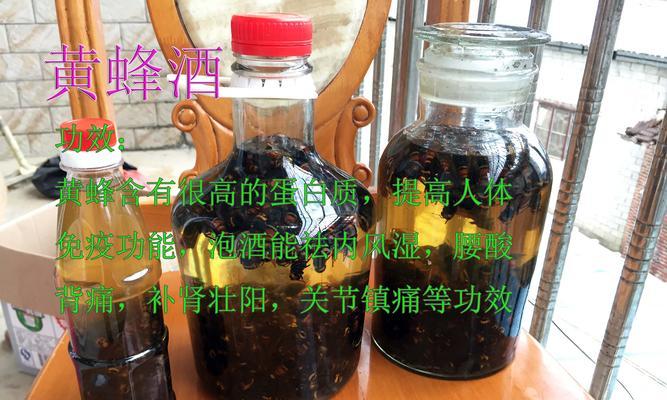 《碧蓝航线》胡蜂台词大全——胡蜂台词欣赏（探寻碧蓝航线中胡蜂角色的台词魅力）