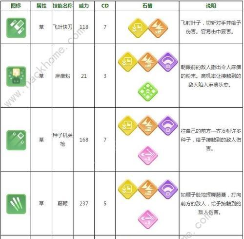 《探索宝可梦世界，开启无限宝藏之旅》（零氪新手也能玩转的全面攻略）