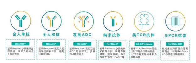 梦幻西游鬼王如何分双抗和单抗？有什么技巧？